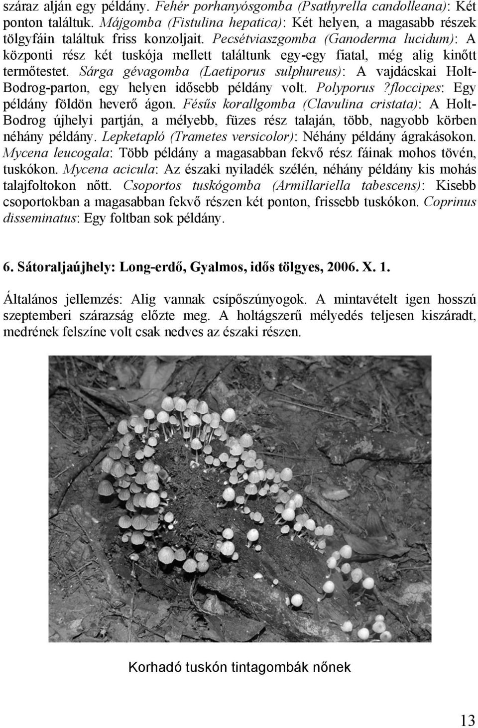 Sárga gévagomba (Laetiporus sulphureus): A vajdácskai Holt- Bodrog-parton, egy helyen idősebb példány volt. Polyporus?floccipes: Egy példány földön heverő ágon.