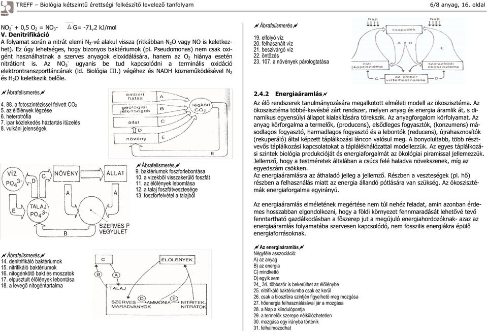 Az NO 3 ugyanis be tud kapcsolódni a terminális oxidáció elektrontranszportláncának (ld. Biológia III.) végéhez és NADH közrem ködésével N 2 és H 2 O keletkezik bel le. Ábrafelismerés 19.