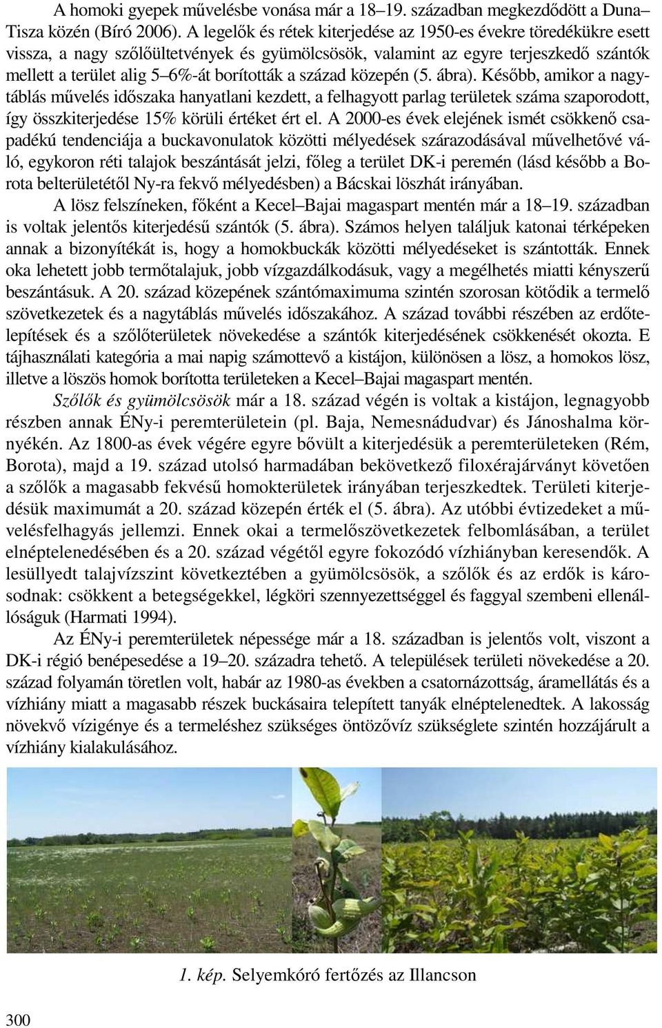 század közepén (5. ábra). Késıbb, amikor a nagytáblás mővelés idıszaka hanyatlani kezdett, a felhagyott parlag területek száma szaporodott, így összkiterjedése 15% körüli értéket ért el.
