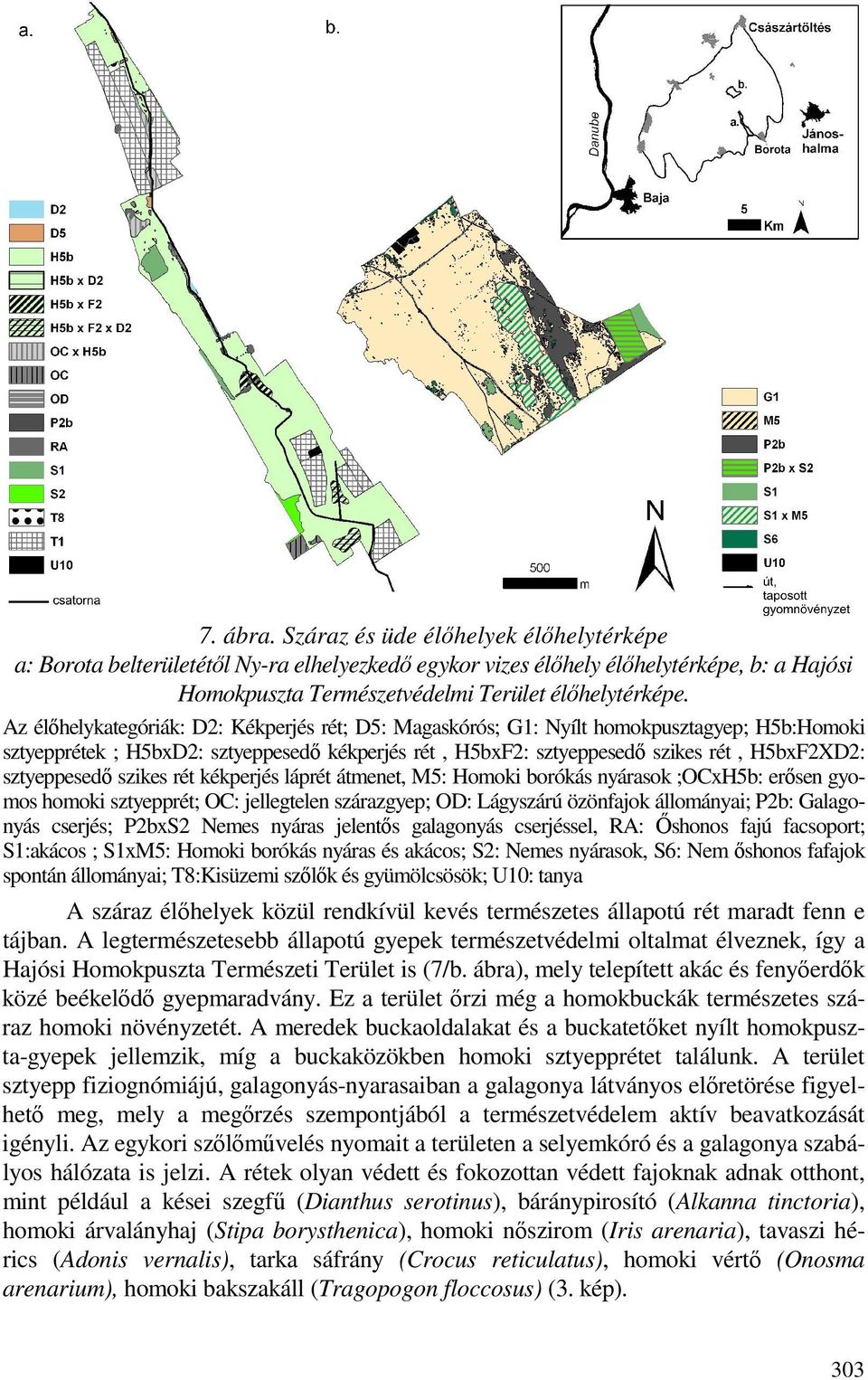sztyeppesedı szikes rét kékperjés láprét átmenet, M5: Homoki borókás nyárasok ;OCxH5b: erısen gyomos homoki sztyepprét; OC: jellegtelen szárazgyep; OD: Lágyszárú özönfajok állományai; P2b: Galagonyás