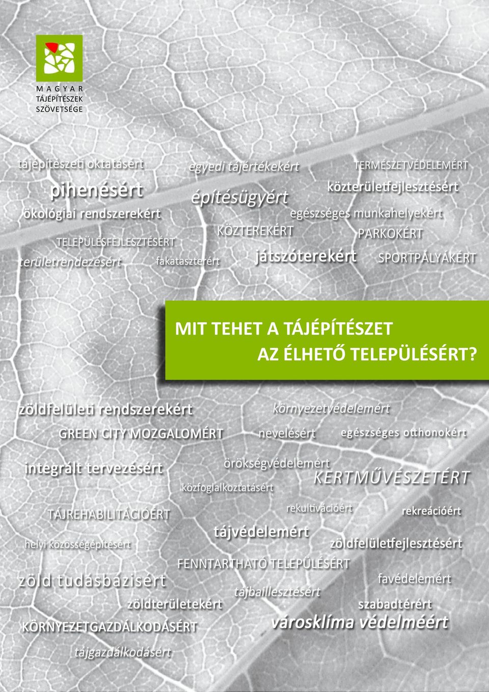 SZÖVETSÉGE MIT TEHET