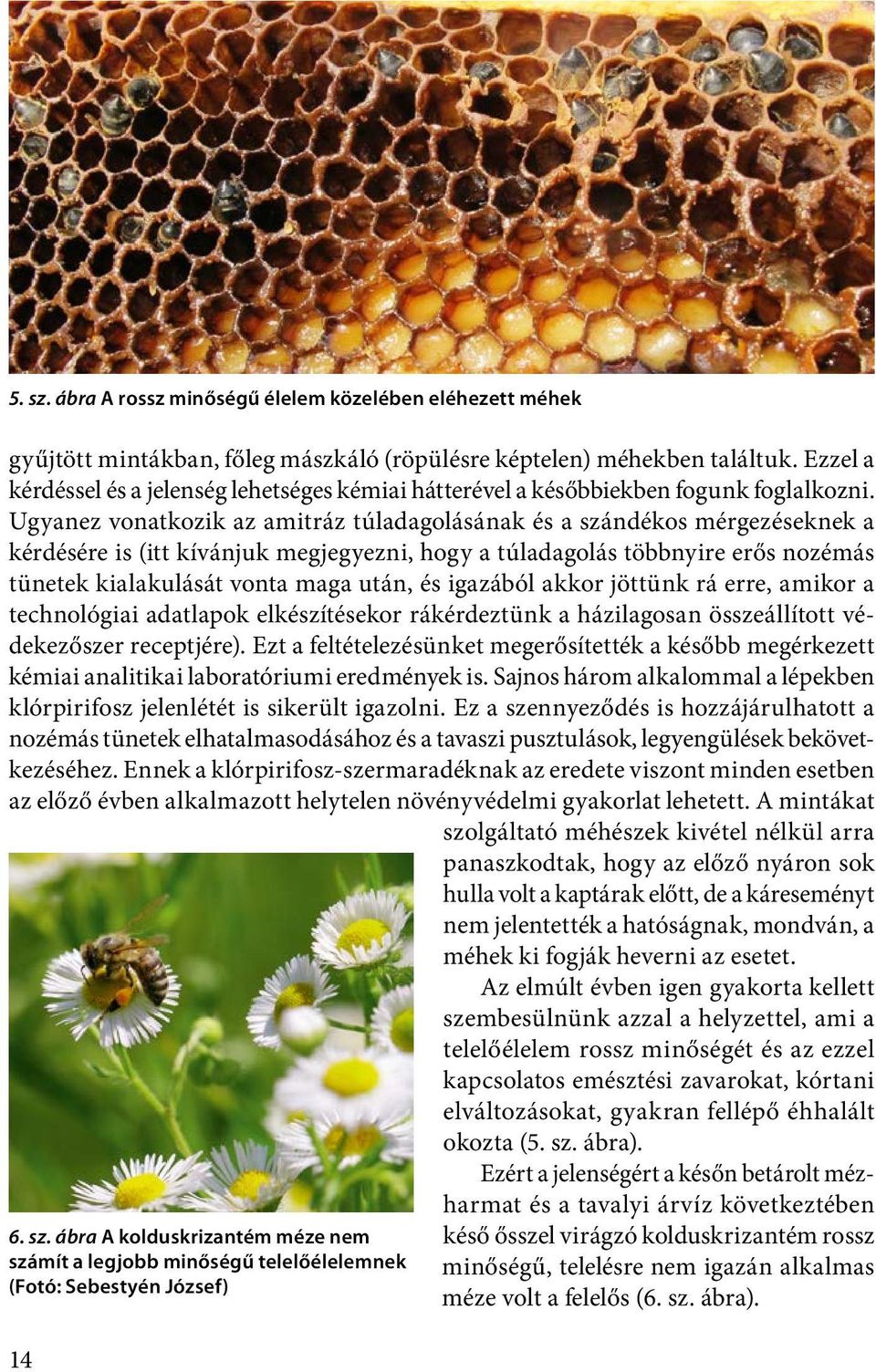 Ugyanez vonatkozik az amitráz túladagolásának és a szándékos mérgezéseknek a kérdésére is (itt kívánjuk megjegyezni, hogy a túladagolás többnyire erős nozémás tünetek kialakulását vonta maga után, és