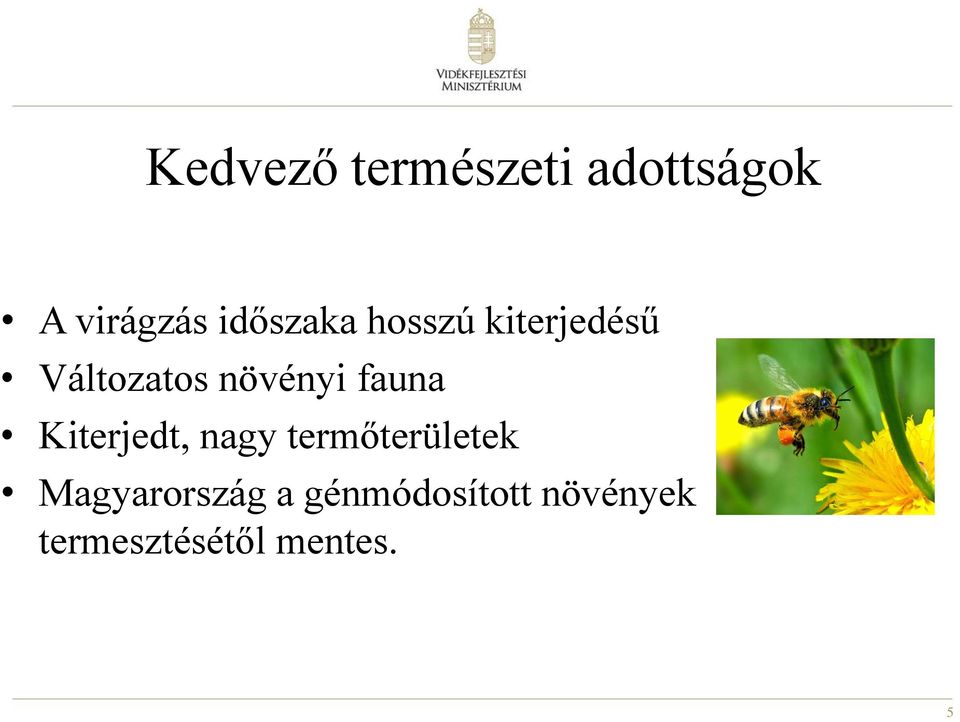fauna Kiterjedt, nagy termőterületek