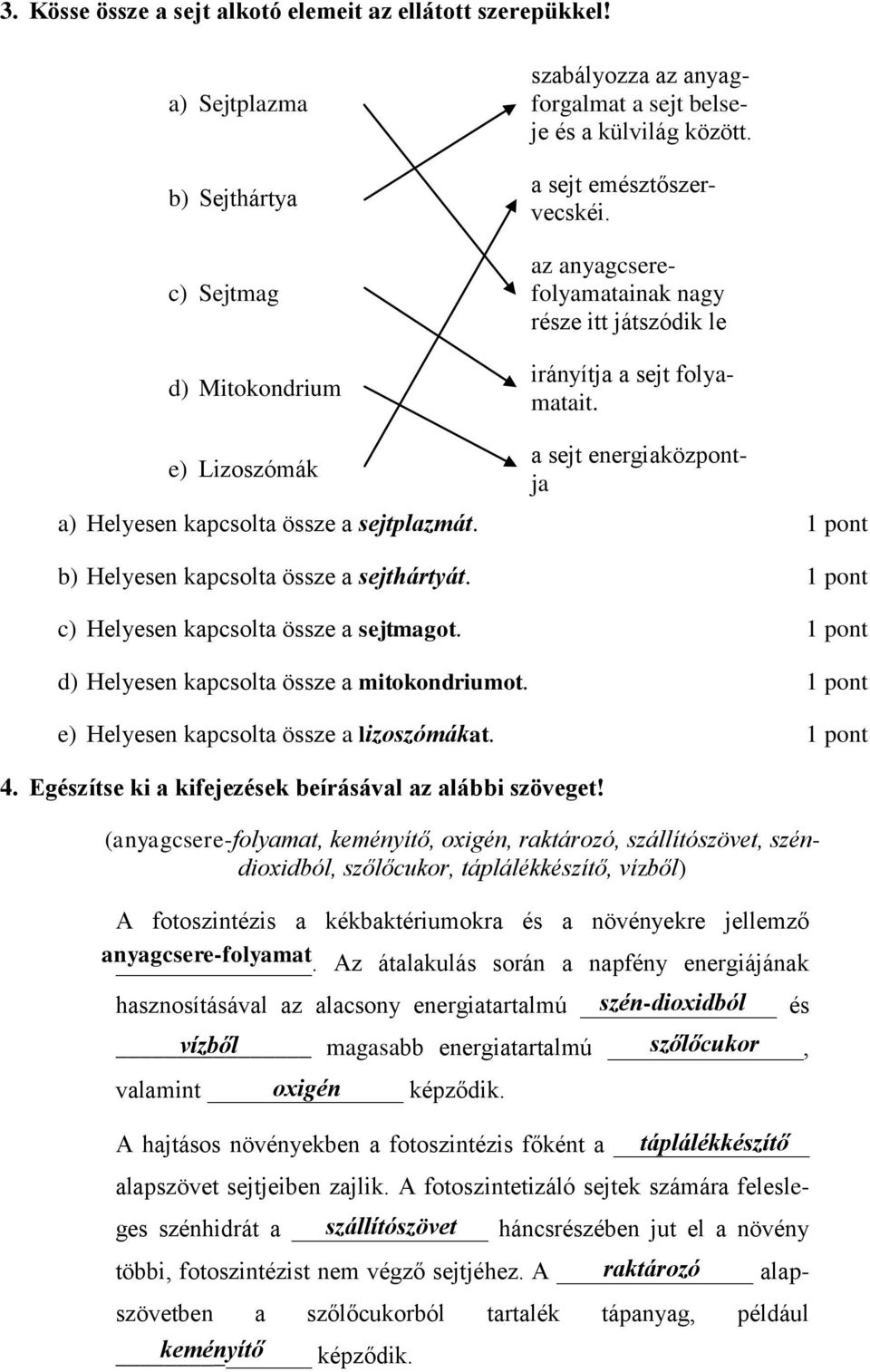 Az átalakulás során a napfény energiájának hasznosításával az alacsony energiatartalmú szén-dioxidból és vízből magasabb energiatartalmú, szőlőcukor valamint oxigén képződik.