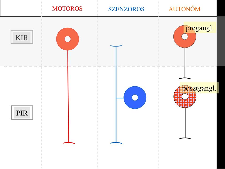 AUTONÓM ZNS KIR