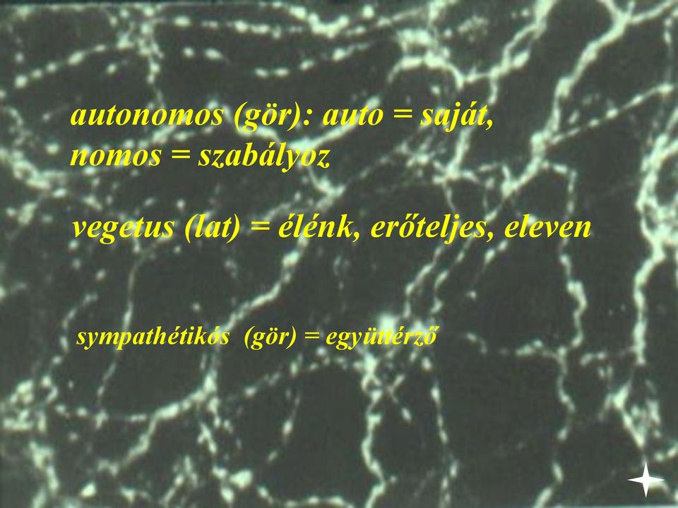 "autonomic [Greek: auto = self; nomos = rule] means