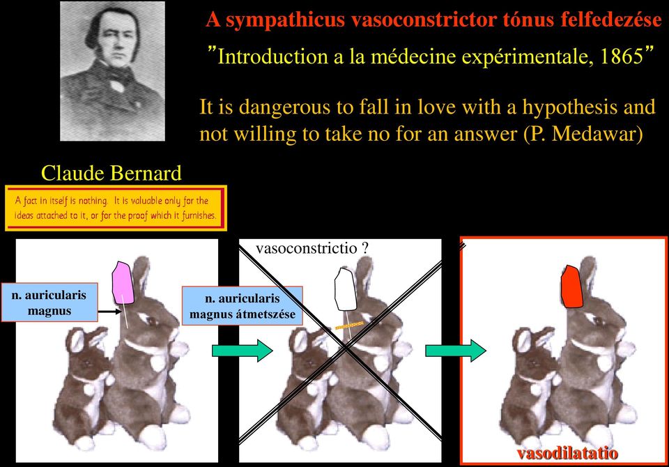 hypothesis and not willing to take no for an answer (P.