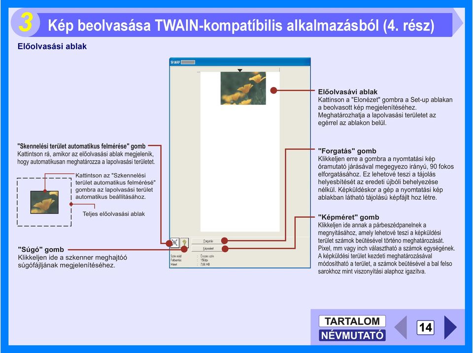 "Skennelési terület automatikus felmérése" gomb Kattintson rá, amikor az előolvasási ablak megjelenik, hogy automatikusan meghatározza a lapolvasási területet.