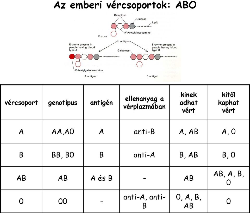 A AA,A0 A anti-b A, AB A, 0 B BB, B0 B anti-a B, AB B, 0 AB