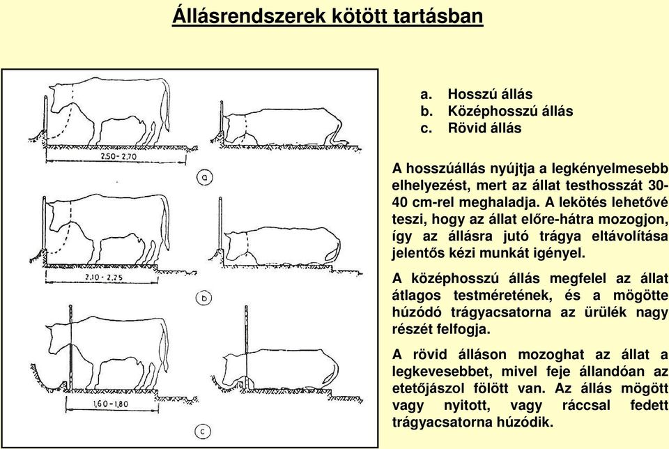 A lekötés lehetővé teszi, hogy az állat előre-hátra mozogjon, így az állásra jutó trágya eltávolítása jelentős kézi munkát igényel.