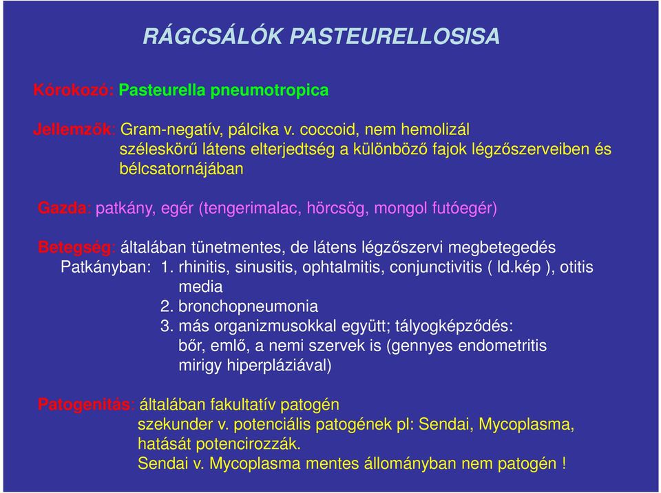 általában tünetmentes, de látens légzőszervi megbetegedés Patkányban: 1. rhinitis, sinusitis, ophtalmitis, conjunctivitis ( ld.kép ), otitis media 2. bronchopneumonia 3.