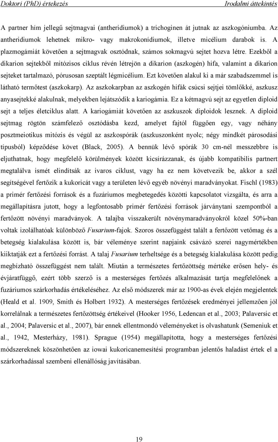 Ezekből a dikarion sejtekből mitózisos ciklus révén létrejön a dikarion (aszkogén) hifa, valamint a dikarion sejteket tartalmazó, pórusosan szeptált légmicélium.