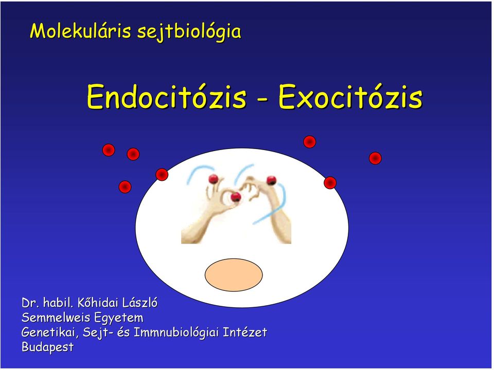 . Kőhidai László Semmelweis Egyetem