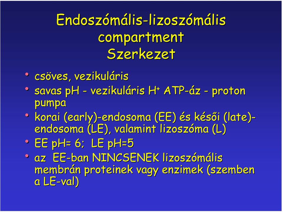 early)-endosomaendosoma (EE) és késői (late)( late)- endosoma (LE), valamint