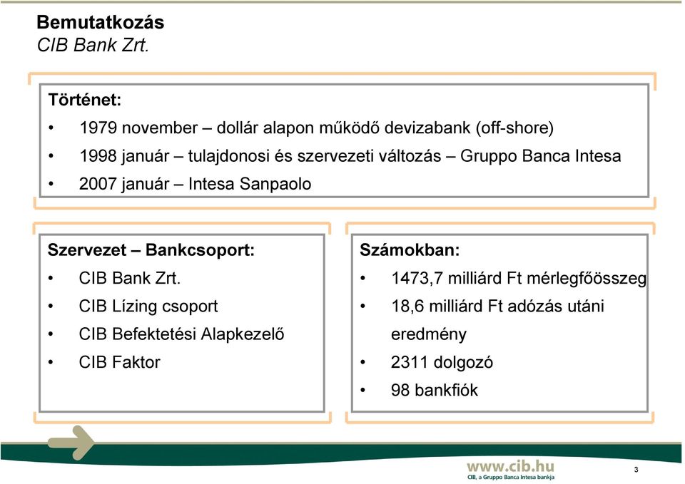 szervezeti változás Gruppo Banca Intesa 2007 január Intesa Sanpaolo Szervezet Bankcsoport: CIB