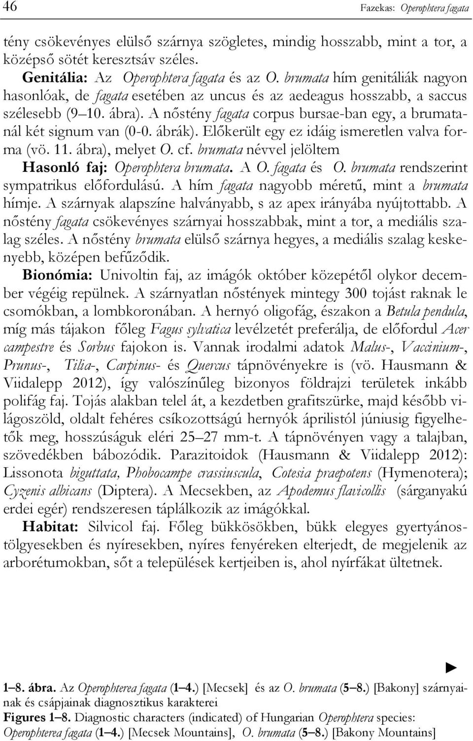 ábrák). Előkerült egy ez idáig ismeretlen valva forma (vö. 11. ábra), melyet O. cf. brumata névvel jelöltem Hasonló faj: Operophtera brumata. A O. fagata és O.
