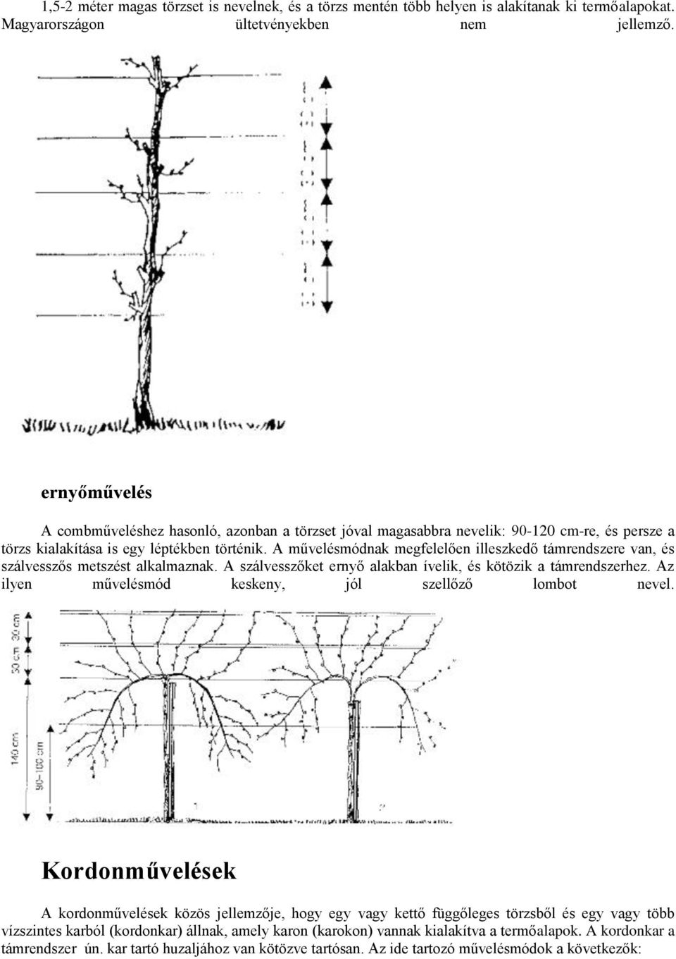 A művelésmódnak megfelelően illeszkedő támrendszere van, és szálvesszős metszést alkalmaznak. A szálvesszőket ernyő alakban ívelik, és kötözik a támrendszerhez.