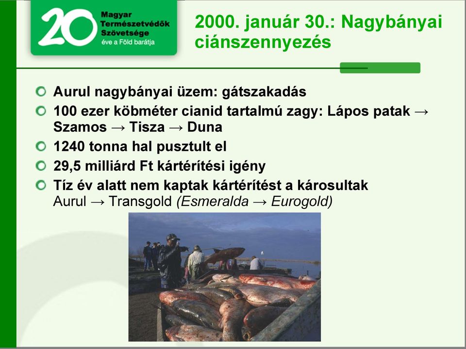 köbméter cianid tartalmú zagy: Lápos patak Szamos Tisza Duna 1240 tonna