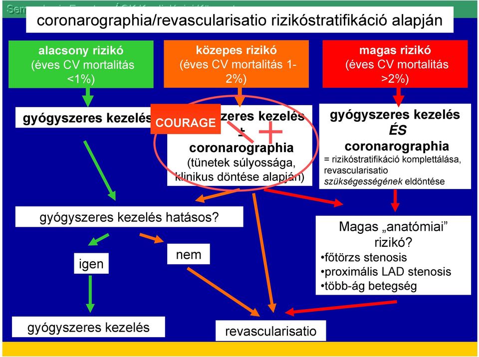 alapján) gyógyszeres kezelés ÉS coronarographia = rizikóstratifikáció komplettálása, revascularisatio szükségességének eldöntése gyógyszeres