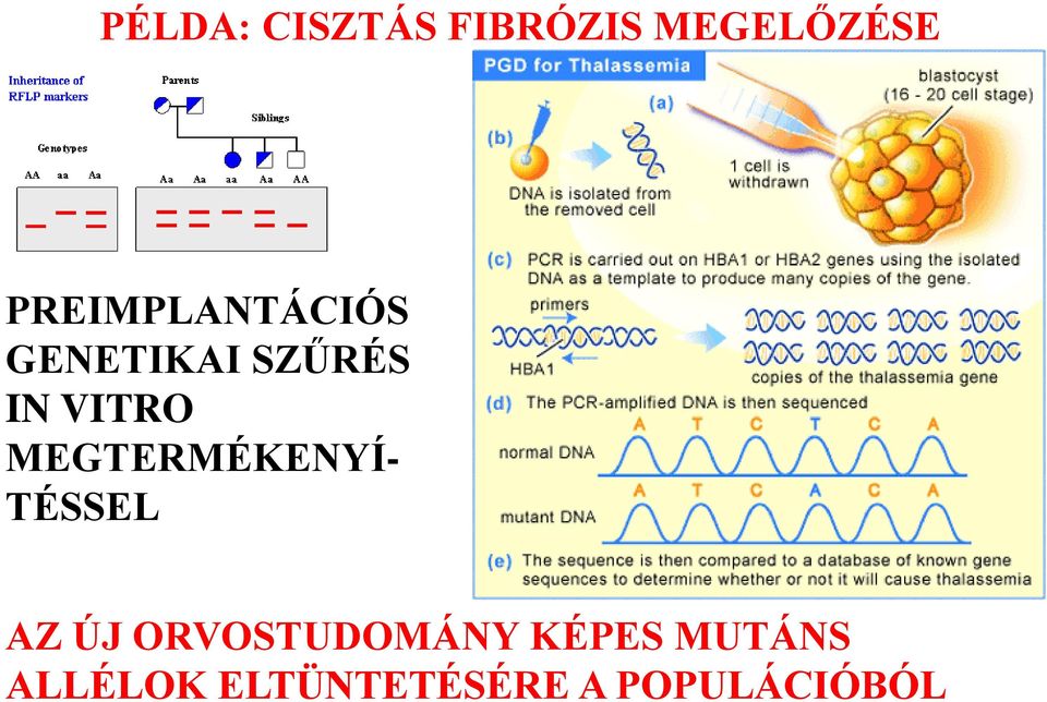 MEGTERMÉKENYÍ- TÉSSEL AZ ÚJ ORVOSTUDOMÁNY