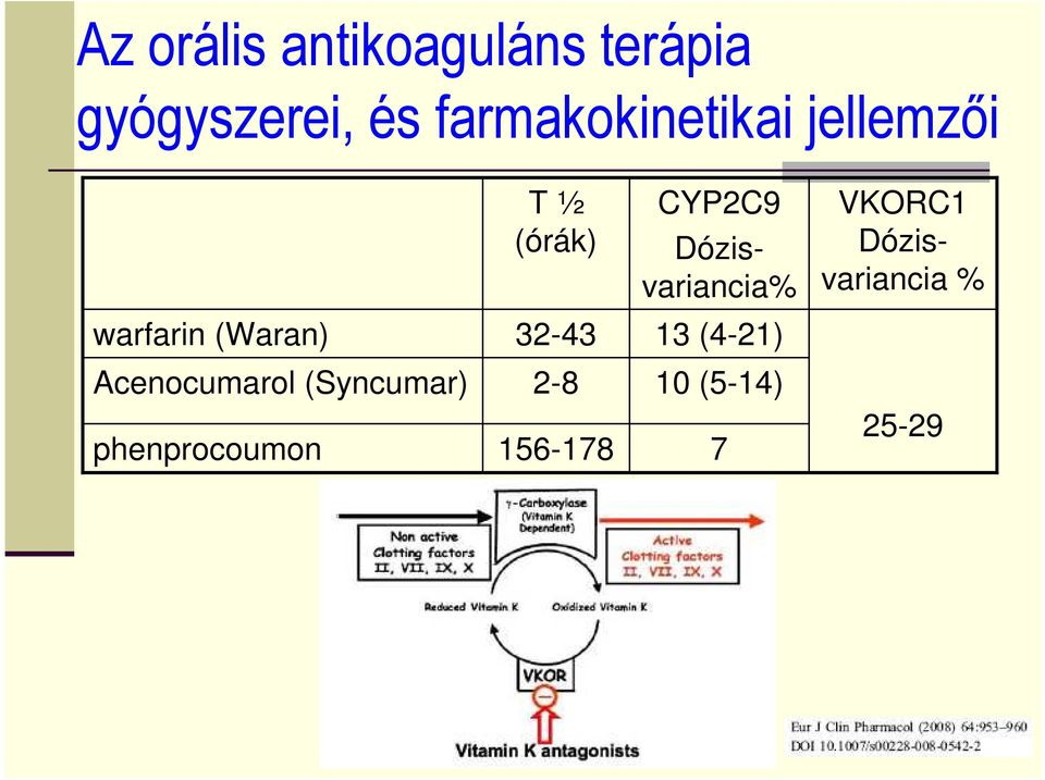 Dózisvariancia% VKORC1 Dózisvariancia % warfarin (Waran)