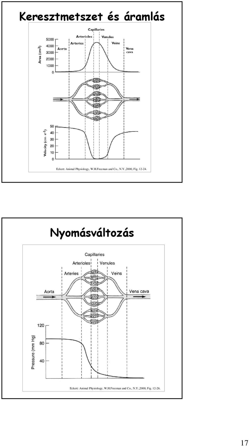 ,2000, Fig. 12-24.