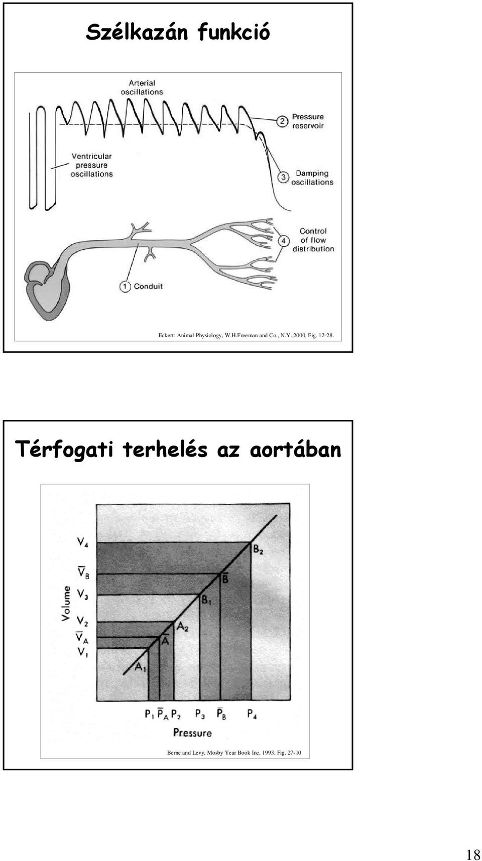 ,2000, Fig. 12-28.