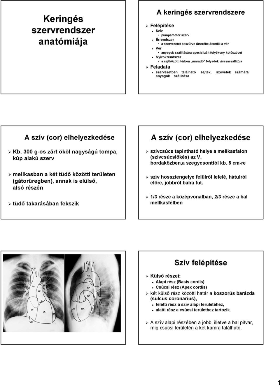 Keringés szervrendszer - PDF Ingyenes letöltés