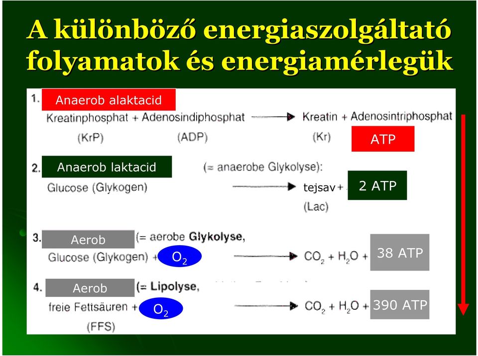 Anaerob alaktacid ATP Anaerob laktacid