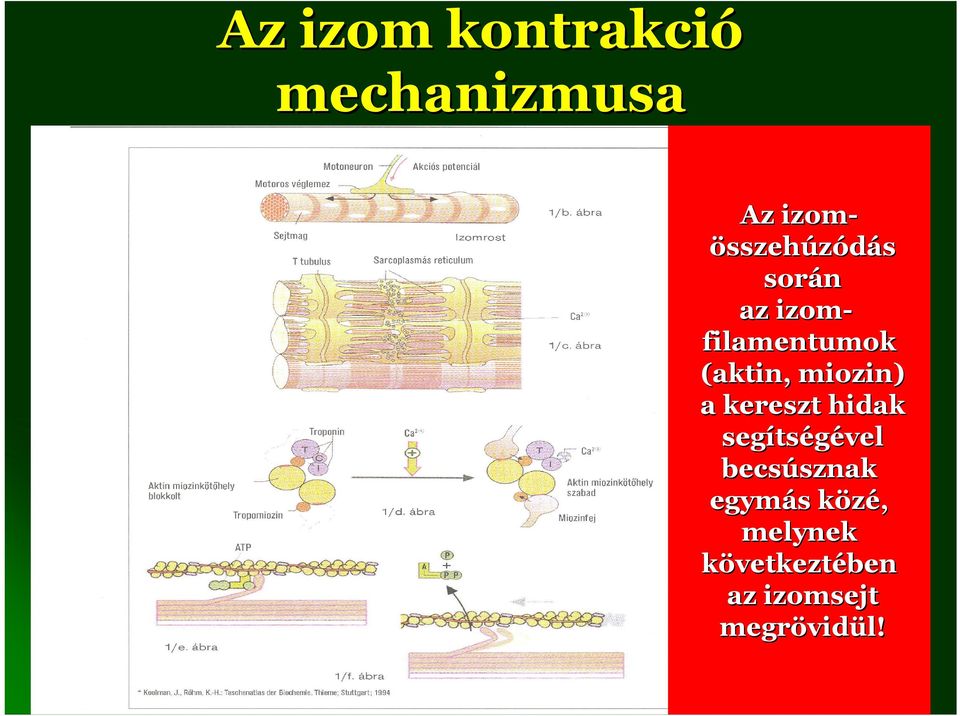 kereszt hidak segíts tségével becsúsznak sznak