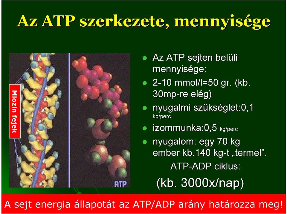 30mp-re elég) nyugalmi szüks kséglet:0,1 kg/perc izommunka:0,5 kg/perc