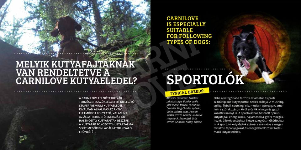 Carnilove is especially suitable for following types of dogs: CARNI SPORTOLÓK typical breeds: Alaszkai malamut, Ausztrál pásztorkutya, Border collie, Jack Russel terrier, Yorskhire, Cavalier King