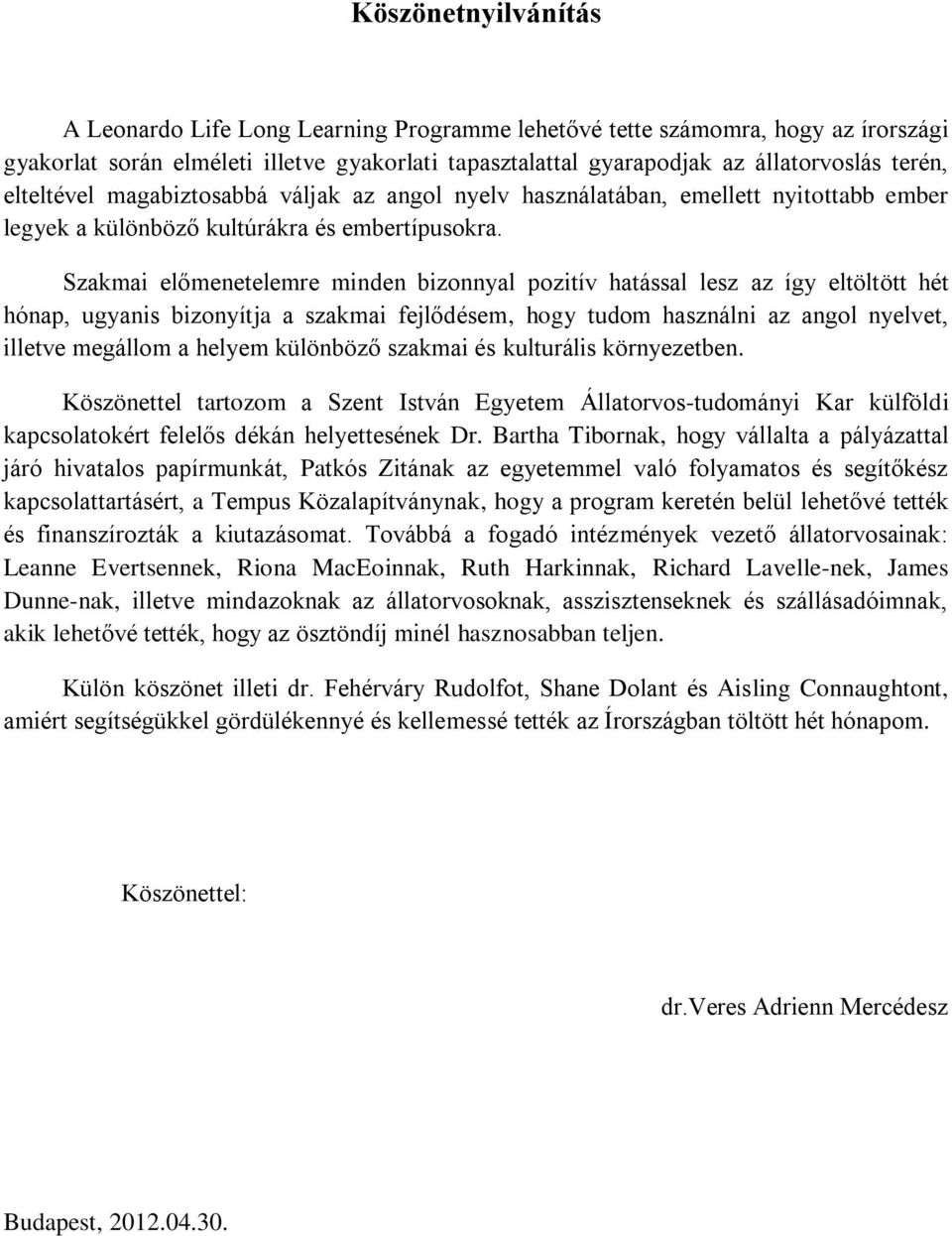 Szakmai előmenetelemre minden bizonnyal pozitív hatással lesz az így eltöltött hét hónap, ugyanis bizonyítja a szakmai fejlődésem, hogy tudom használni az angol nyelvet, illetve megállom a helyem