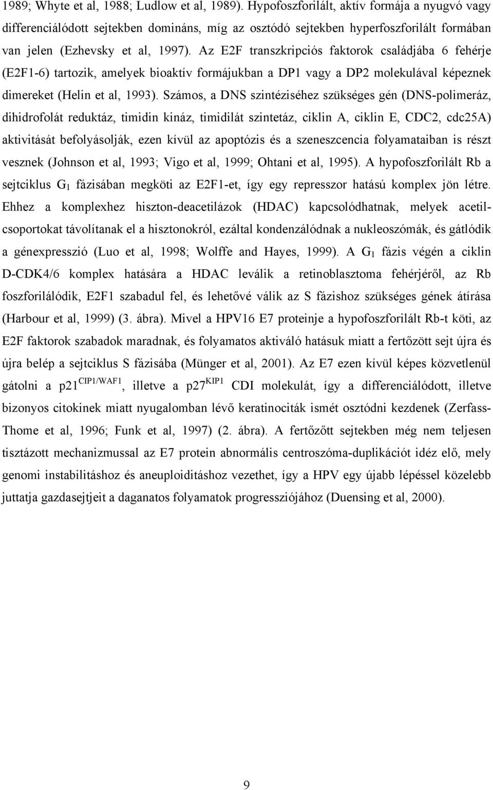 Az E2F transzkripciós faktorok családjába 6 fehérje (E2F1-6) tartozik, amelyek bioaktív formájukban a DP1 vagy a DP2 molekulával képeznek dimereket (Helin et al, 1993).