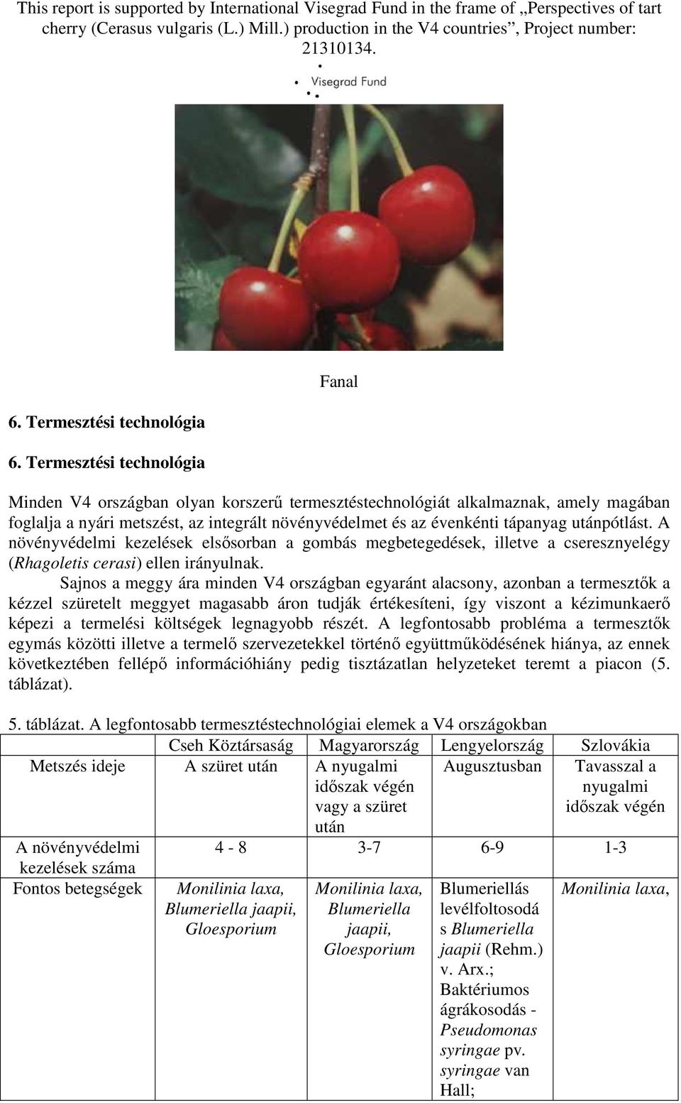 utánpótlást. A növényvédelmi kezelések elsősorban a gombás megbetegedések, illetve a cseresznyelégy (Rhagoletis cerasi) ellen irányulnak.