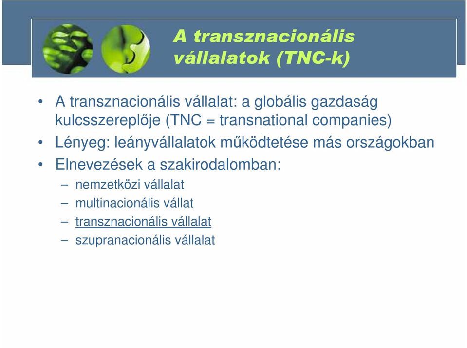 leányvállalatok mőködtetése más országokban Elnevezések a szakirodalomban: