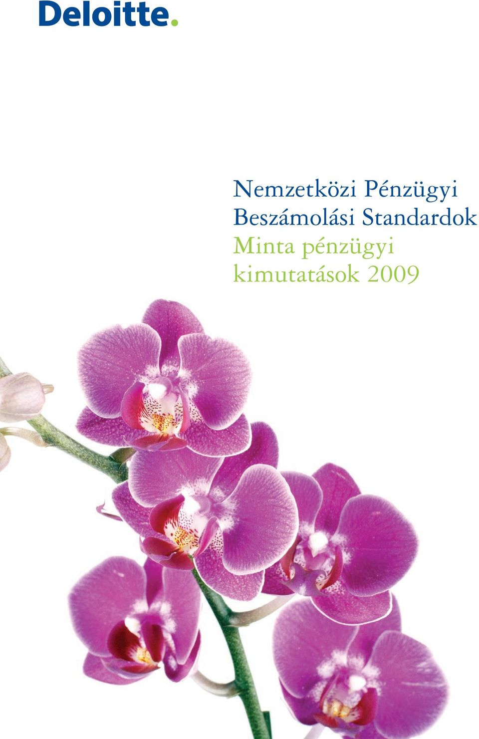 Beszámolási