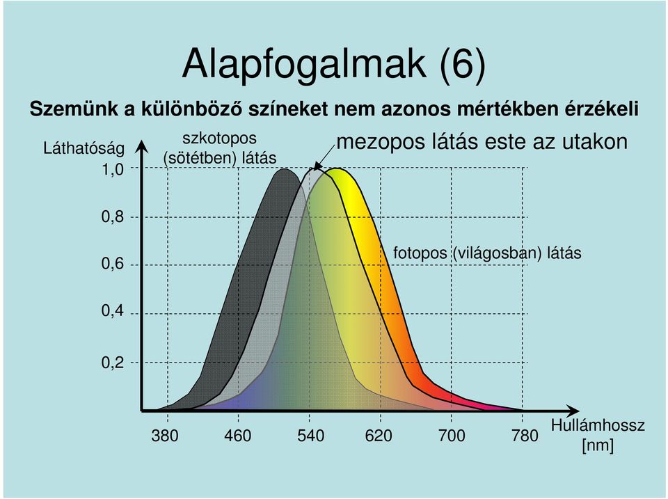 (sötétben) látás mezopos látás este az utakon 0,8 0,6