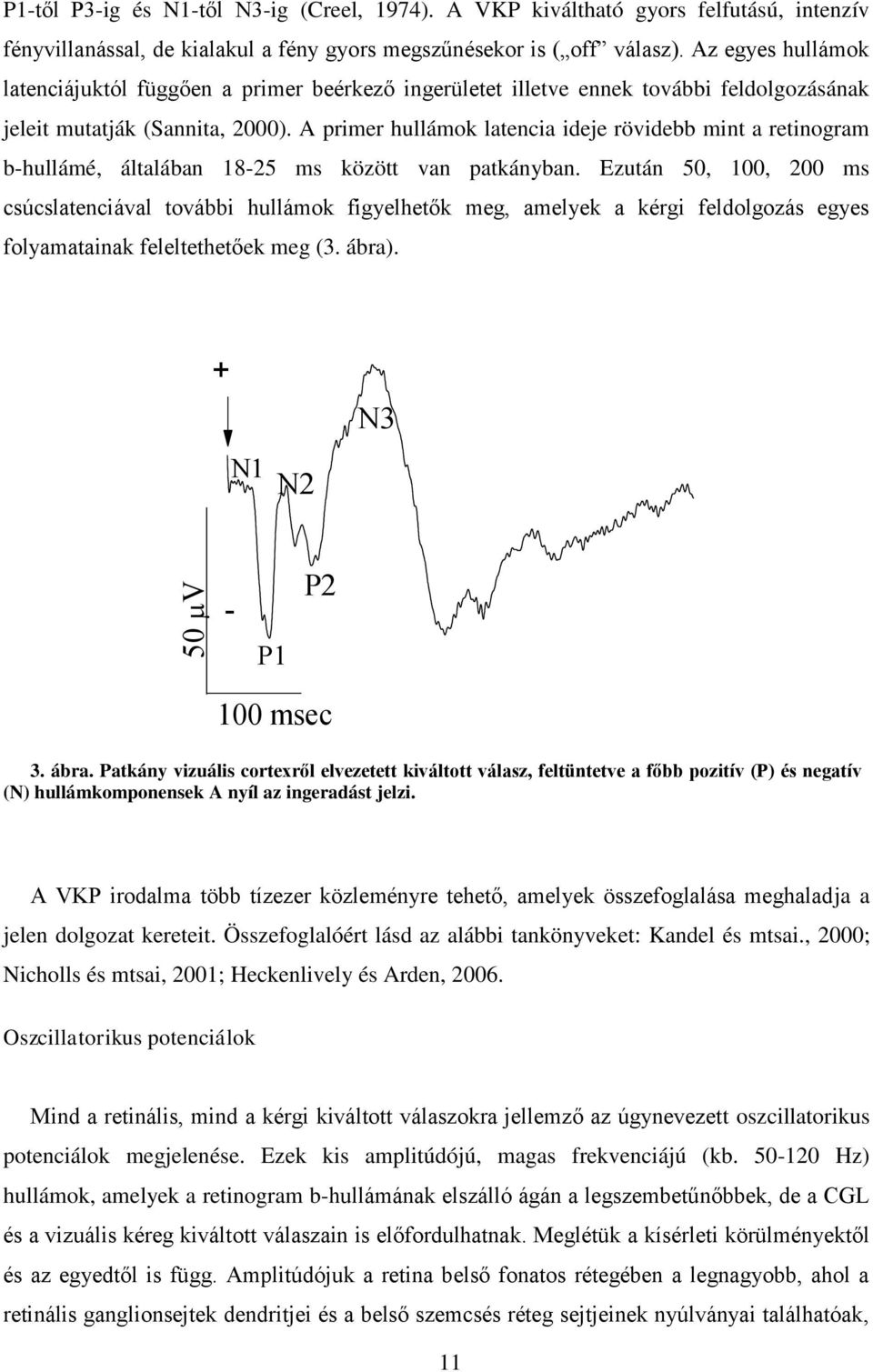 A primer hullámok latencia ideje rövidebb mint a retinogram b-hullámé, általában 18-25 ms között van patkányban.