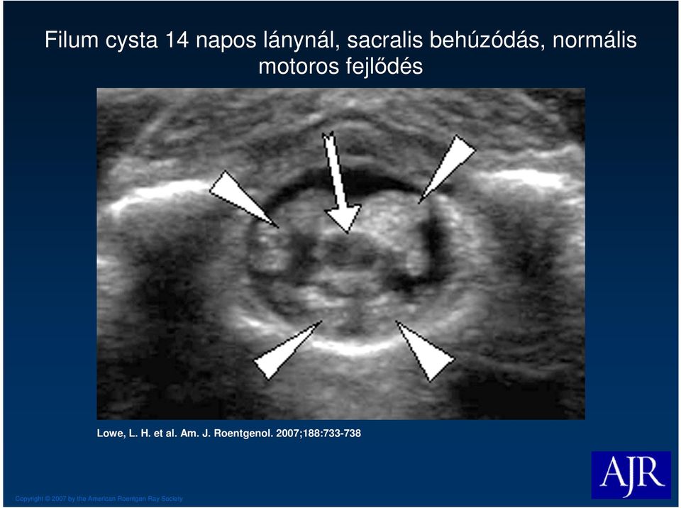 H. et al. Am. J. Roentgenol.