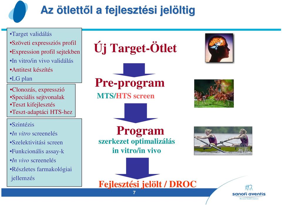 Teszt-adaptáci HTS-hez Szintézis In vitro screenelés Szelektivitási screen Funkcionális assay-k In vivo screenelés Részletes