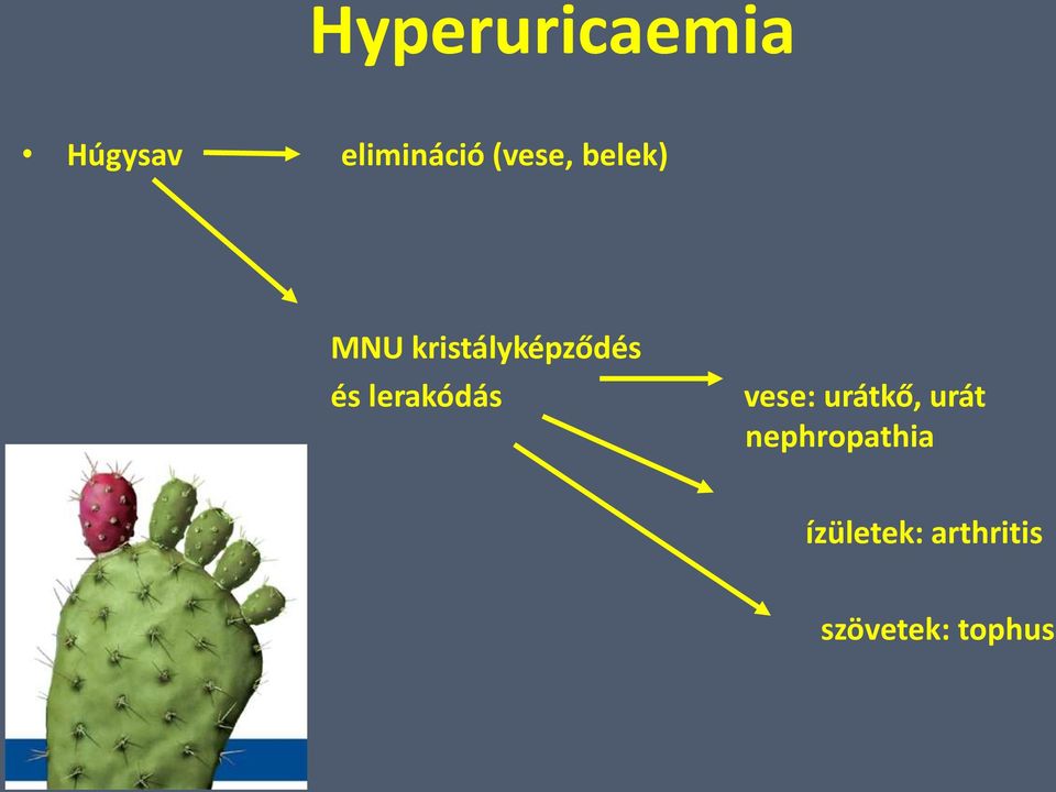 lerakódás vese: urátkő, urát