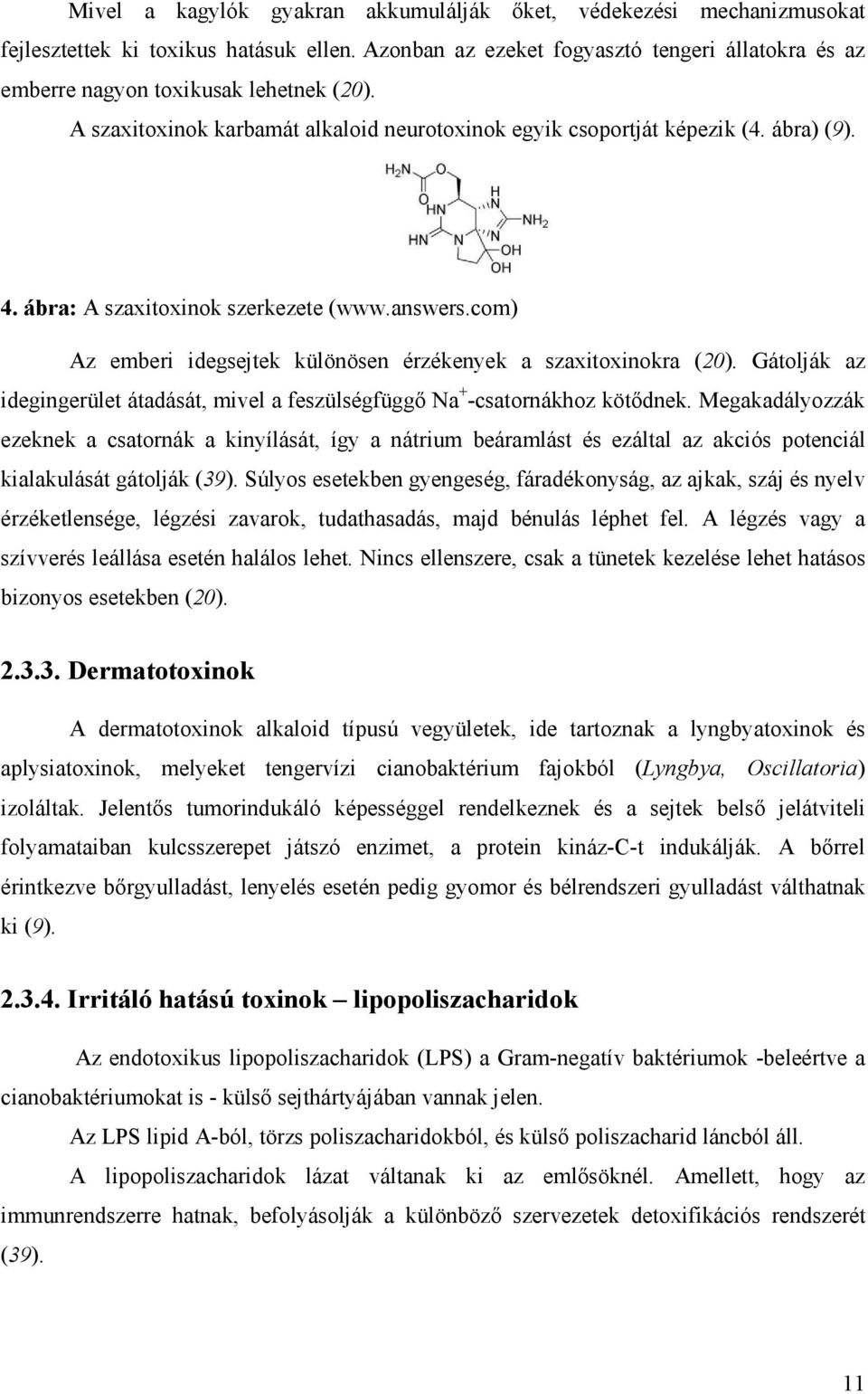 ábra: A szaxitoxinok szerkezete (www.answers.com) Az emberi idegsejtek különösen érzékenyek a szaxitoxinokra (20).