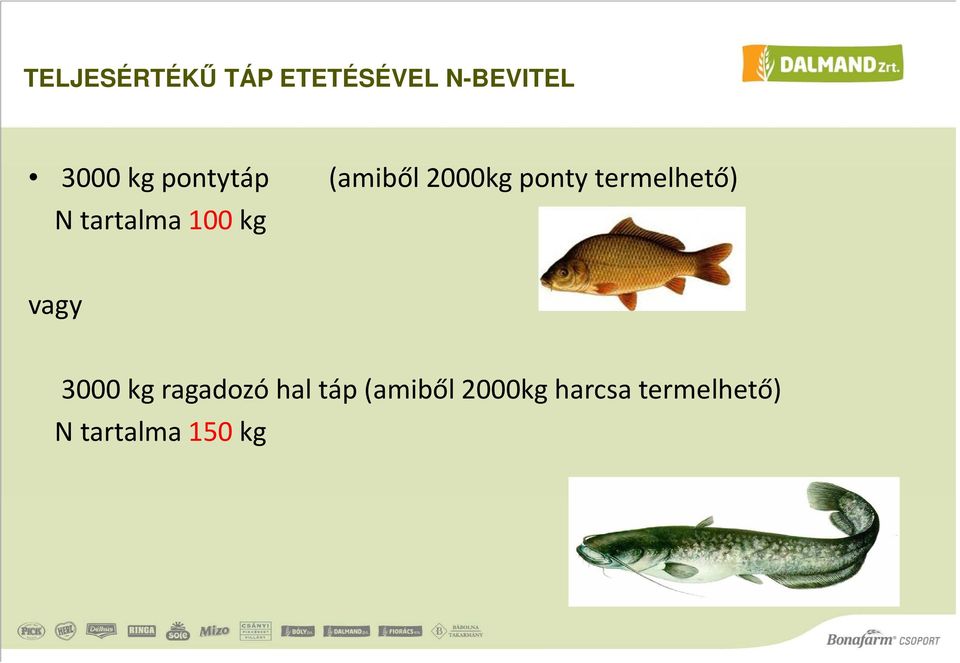 tartalma 100 kg vagy 3000 kg ragadozó hal táp