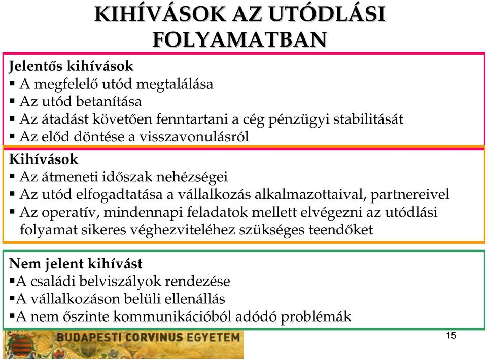 alkalmazottaival, partnereivel Az operatív, mindennapi feladatok mellett elvégezni az utódlási folyamat sikeres véghezviteléhez szükséges