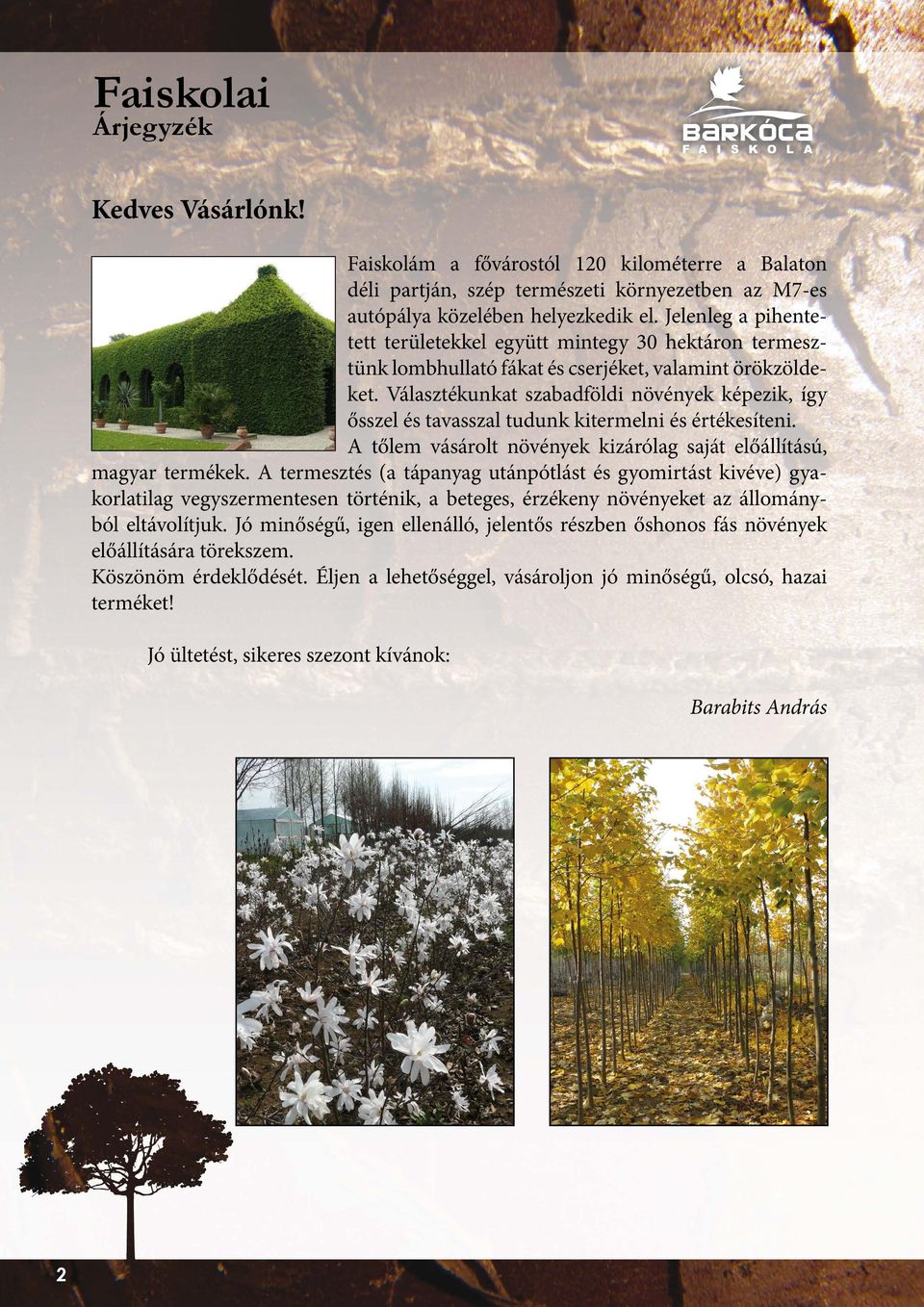 Választékunkat szabadföldi növények képezik, így ősszel és tavasszal tudunk kitermelni és értékesíteni. A tőlem vásárolt növények kizárólag saját előállítású, magyar termékek.