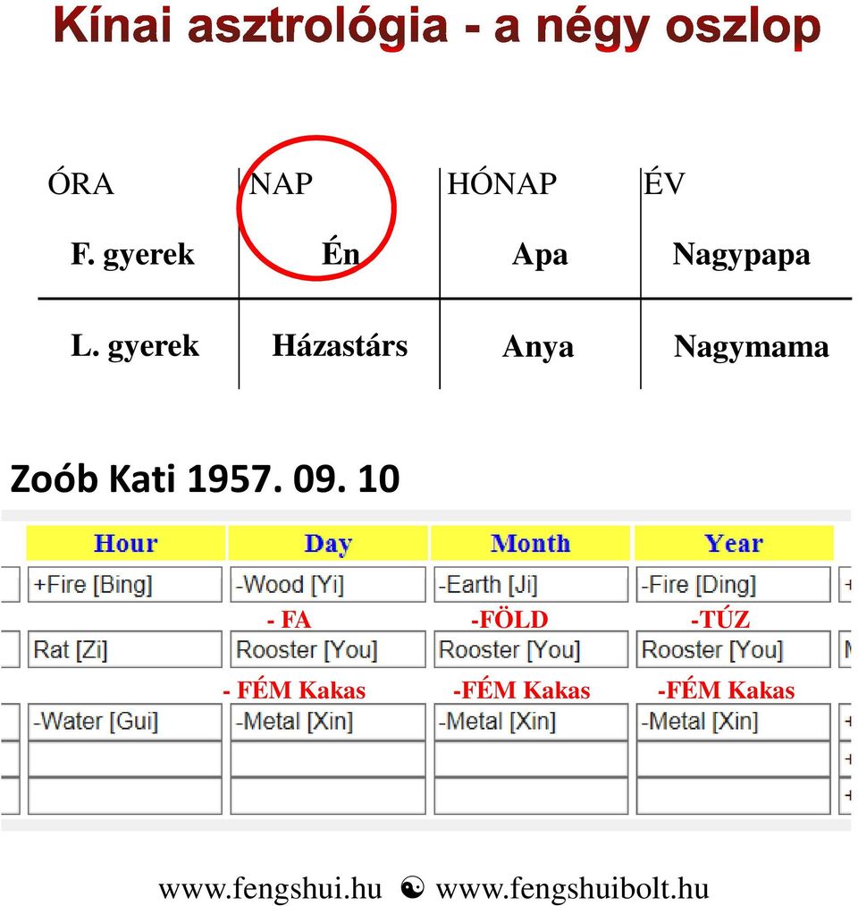 10 - FA -FÖLD -TÚZ - FÉM Fa Kakas Tűz -FÉM Fa