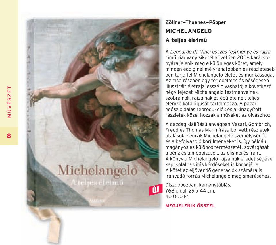 Az elsô részben egy terjedelmes és bôségesen illusztrált életrajzi esszé olvasható; a következô négy fejezet Michelangelo festményeinek, szobrainak, rajzainak és épületeinek teljes elemzô katalógusát
