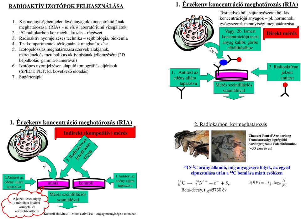 Izotópeloszlás meghatározása szervek alakjának, méretének és metabolikus aktivitásának jellemzésére (2D képalkotás gamma-kamerával) 6.