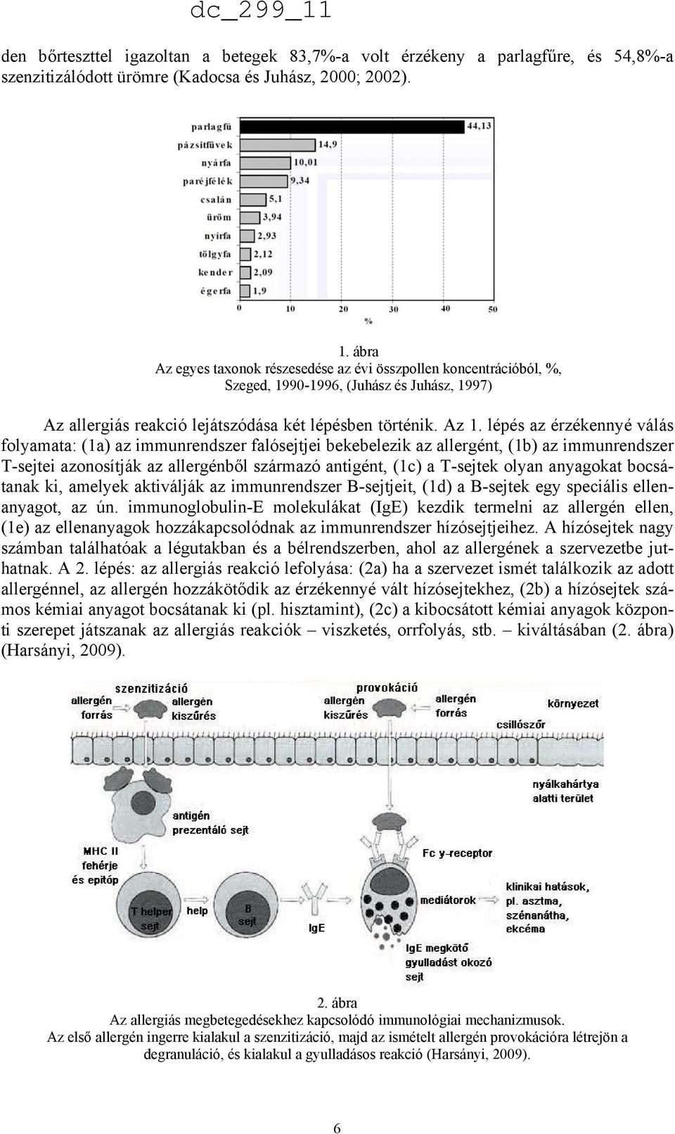 lépés az érzékennyé válás folyamata: (1a) az immunrendszer falósejtjei bekebelezik az allergént, (1b) az immunrendszer T-sejtei azonosítják az allergénből származó antigént, (1c) a T-sejtek olyan